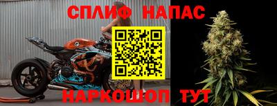 прущие грибы Пушкино