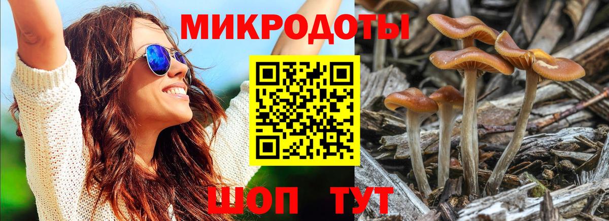 Псилоцибиновые грибы прущие грибы Рославль