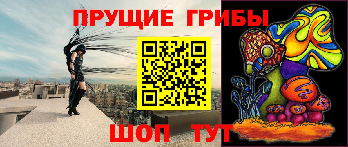 Псилоцибиновые грибы прущие грибы  Вход с VPN  Галлюциногенные грибы Cubensis  как найти наркотики  Рославль 